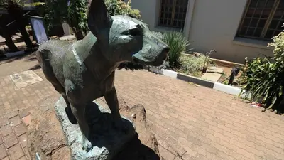 a statue of a dog standing on a rock at African Rest Lodge in Barberton