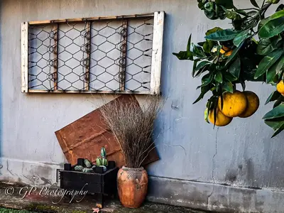 a wall with a window with a potted plant and a pot at Laguna Lodge in Graskop