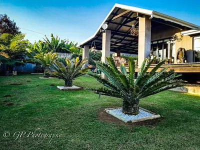 two palm trees in a yard in front of a house at Laguna Lodge in Graskop