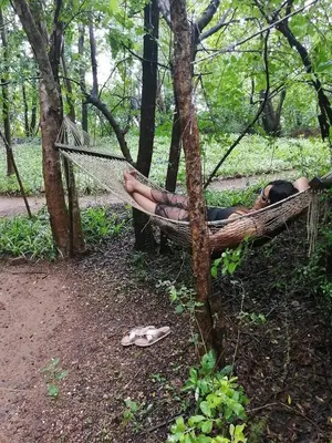 a woman laying in a hammock in a forest at Iris Retreat & Island Day Spa in Hartbeespoort
