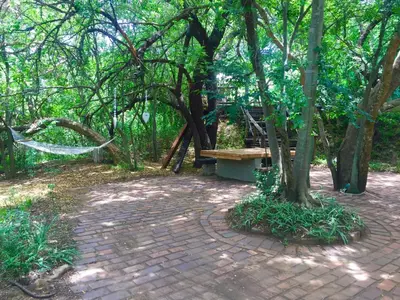 a park with a bench sitting under some trees at Iris Retreat & Island Day Spa in Hartbeespoort