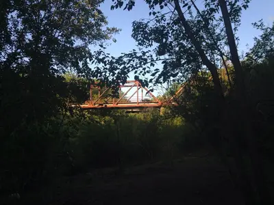 a wooden bridge in the middle of a forest at Iris Retreat & Island Day Spa in Hartbeespoort