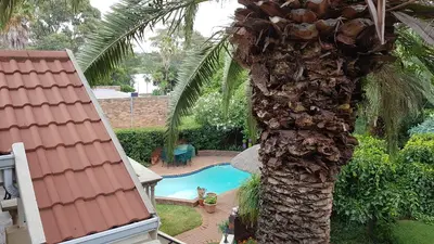 a palm tree standing next to a swimming pool at Homestead Lake Cottage in Benoni