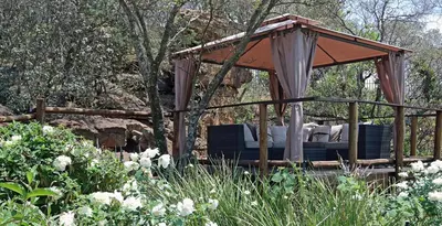 a bed in a gazebo in a garden at Sherewood Lodge in Pretoria
