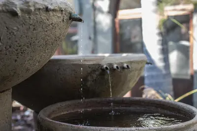 a bird drinking water out of a bird bath at Flamboyant Guesthouse in Bela-Bela