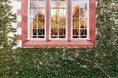 a window on a brick building with ivy at Brooklyn Manor in Pretoria
