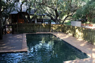 a swimming pool in a backyard with a wooden fence at Tuskers Bush Lodge B&B in Hartbeespoort
