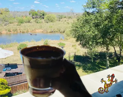 a hand holding a cup of coffee in front of a river at Sabie River Bush Lodge in Hazyview