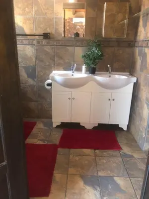 a bathroom with a white sink and a red rug at Wildgoose Lodge in Marloth Park