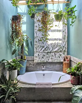 a bath tub in a bathroom with plants at Veranda House Boutique Accommodation in Midrand