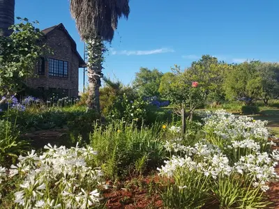 a garden with white flowers in front of a house at MyAula in Tierpoort
