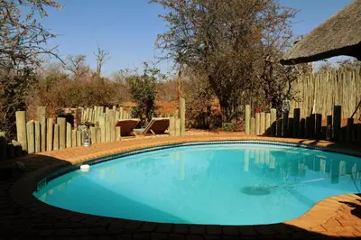 a swimming pool in a yard with a fence at Lions Place in Grietjie Nature Reserve