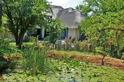 a garden with lilies in front of a house at Lions Place in Grietjie Nature Reserve