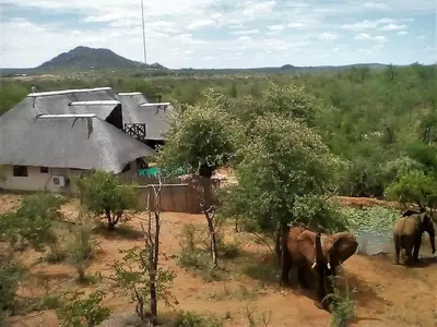 a group of elephants standing in front of a house at Lions Place in Grietjie Nature Reserve
