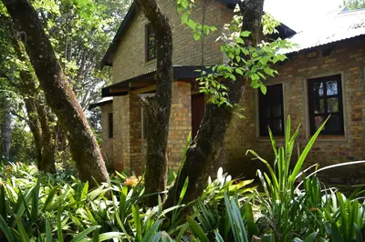 a brick house with trees and plants in front of it at Molly's Cottage in Graskop