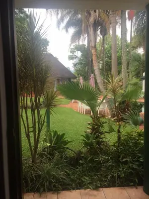 a view of a yard with palm trees and a house at Villa Grande Lodge in Louis Trichardt