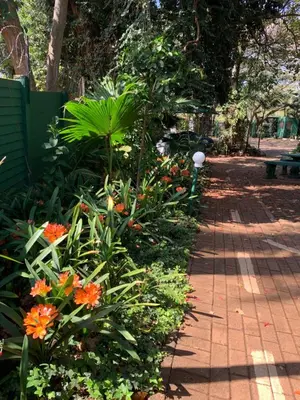 a garden with orange flowers and a pathway at Villa Grande Lodge in Louis Trichardt