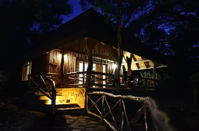 a cabin at night with the lights on at Moholoholo Forest Camp in Hoedspruit