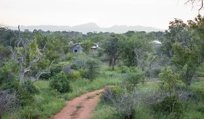 a dirt road through a forest with a house in the background at Route 40 in Hoedspruit