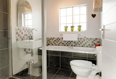 a bathroom with a toilet and a sink and a shower at 3 Lux Suites in Middelburg