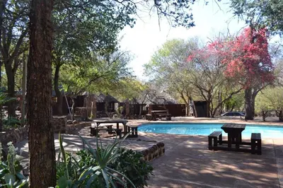 a swimming pool with tables and benches next to a tree at ThabaNkwe Bushveld Inn in Thabazimbi