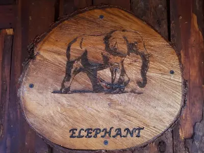 a wooden sign with the word elephant on it at ThabaNkwe Bushveld Inn in Thabazimbi