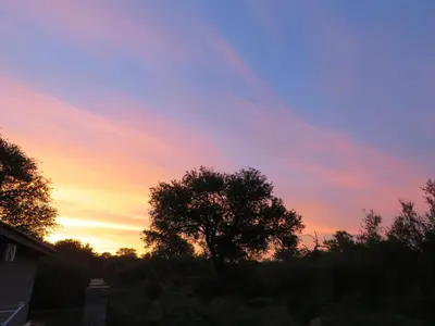 a sunset with a tree in front of a house at Wild Dog Guest Lodge in Hoedspruit