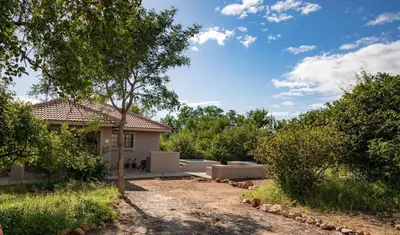 a house with a tree in the yard at Impala Lily in Marloth Park