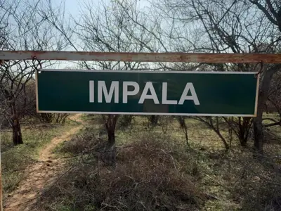 a green sign that reads imperia on a road at Impala Lily in Marloth Park