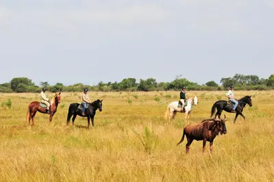 a group of people riding horses in a field at Sondela Nature Reserve & Spa Country House in Bela-Bela