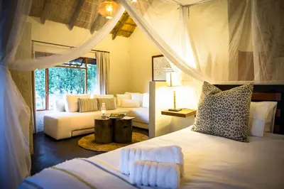 Gallery image of Chacma Bush Camp in Balule Game Reserve