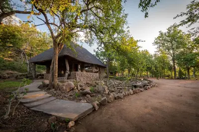 Gallery image of Chacma Bush Camp in Balule Game Reserve