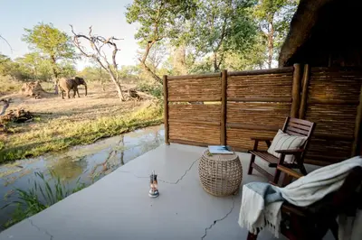 Gallery image of Chacma Bush Camp in Balule Game Reserve