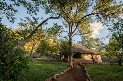 Gallery image of Chacma Bush Camp in Balule Game Reserve