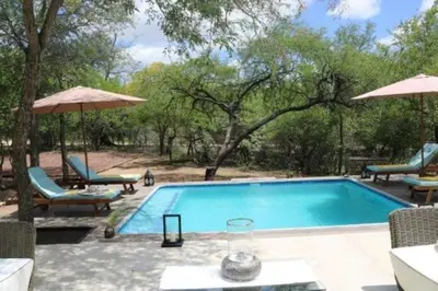 a swimming pool with chairs and umbrellas at Luvivane Luxury Villa in Marloth Park