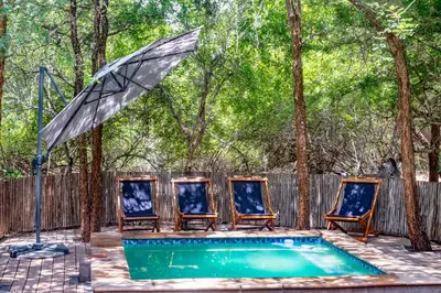 a group of chairs and an umbrella next to a pool at The Porcupine Porch in Marloth Park