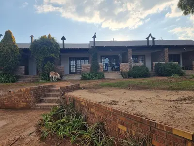 a house with a dog standing in front of it at The Highlander Hotel Dullstroom in Dullstroom