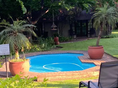 a small pool in a yard with two palm trees at Safari Club Guest Lodge OR Tambo International Airport in Kempton Park