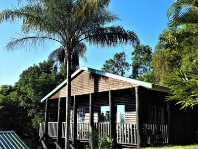 a house with a palm tree in front of it at Viewpoint Lodge & Safari Tours in Hazyview