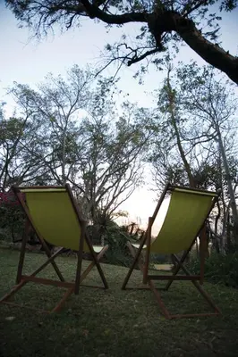 two chairs sitting in the grass under a tree at Kilmorna Manor Guest House in Schoemanskloof
