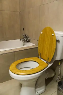 a bathroom with a toilet with a wooden toilet seat at Mamli Guestlodge & Conferencing in Schoemansdal
