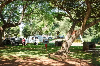 a group of vehicles parked under a tree at Blyde Canyon, A Forever Resort in Matibidi