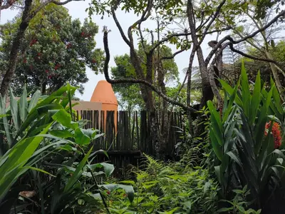a garden with a fence and trees and plants at Dar Amane Guest House in Graskop