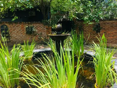 a fountain in the middle of a pond in a garden at Shangri-La Country Hotel & Spa in Modimolle