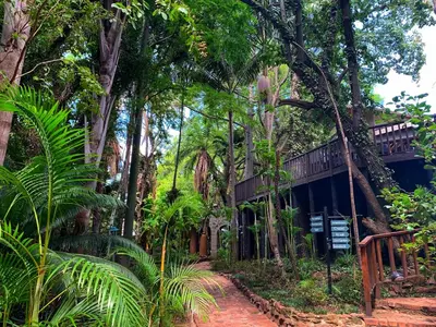 a house in the middle of a forest of trees at Shangri-La Country Hotel & Spa in Modimolle