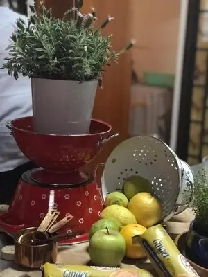 a potted plant in a pot on top of a table at Weltevreden Country Guest Lodge in Groblersbrug