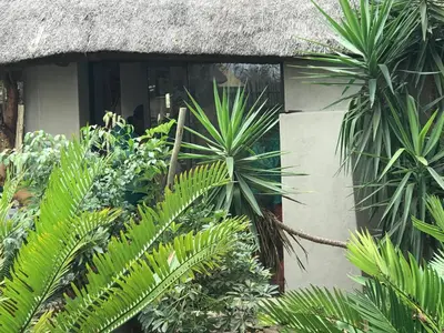 a building with a bunch of plants in front of it at Weltevreden Country Guest Lodge in Groblersbrug