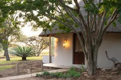 a house with a tree in front of it at Nyala Safari Lodge in Hoedspruit