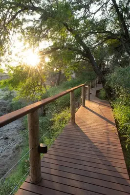 a wooden boardwalk in a park with the sun shining at Nyala Safari Lodge in Hoedspruit