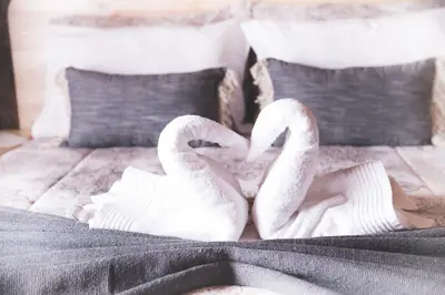 two swans making a heart shape on a bed at 29 Polvy Street in Nelspruit